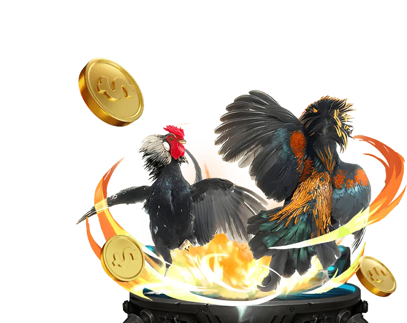 Liên hệ hỗ trợ 77vin